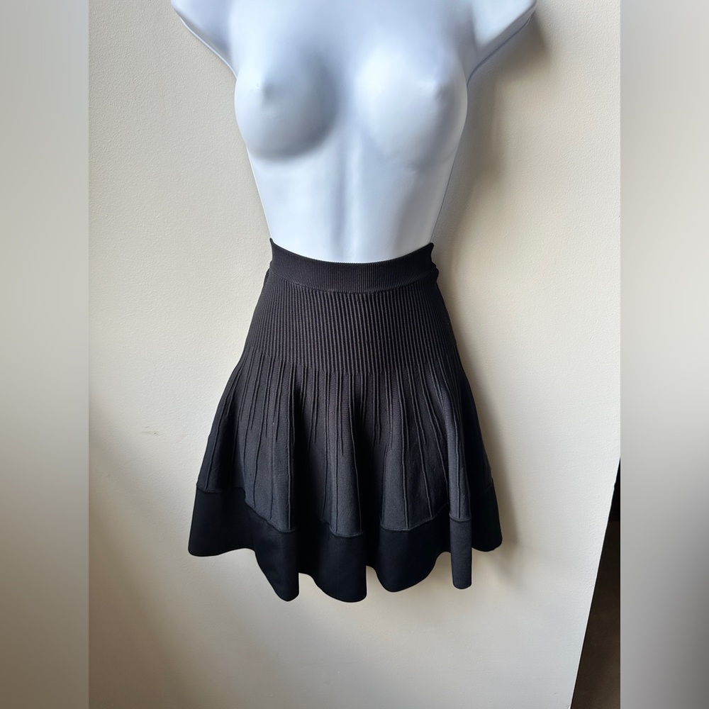Heavyweight Knit Waist Cinching Pleated Flare Mini Skirt Balletcore Coquette, XS